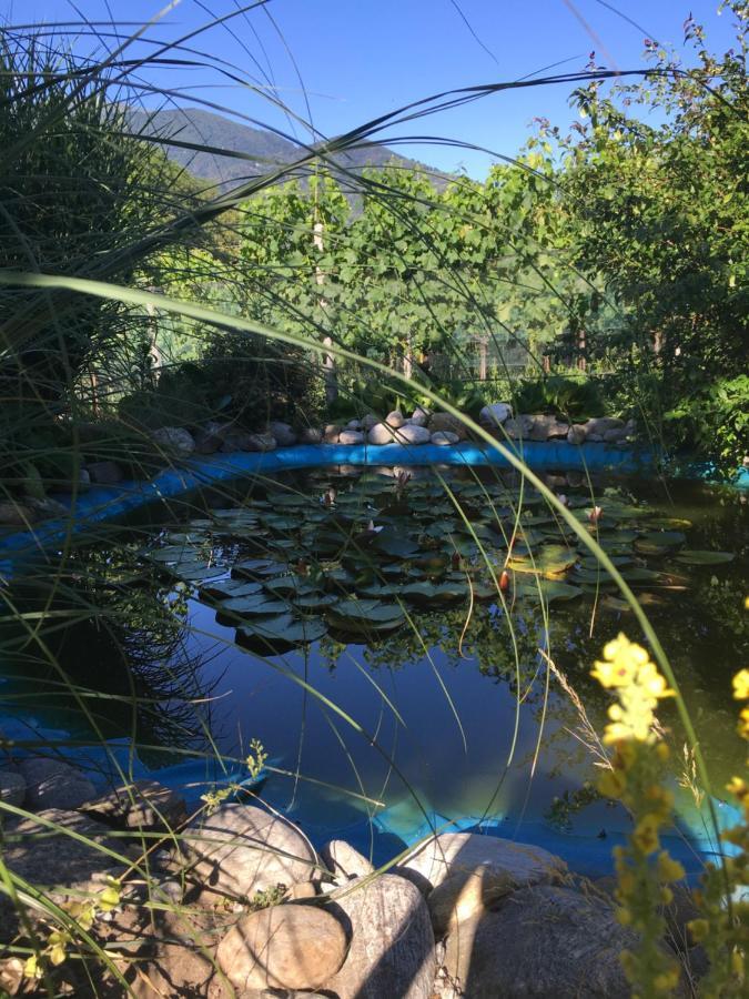 Casa In Koenigs Garten Intragna Eksteriør bilde
